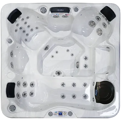 Avalon EC-849L hot tubs for sale in Desplaines