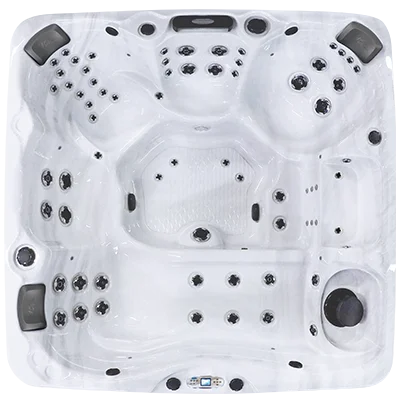 Avalon EC-867L hot tubs for sale in Desplaines